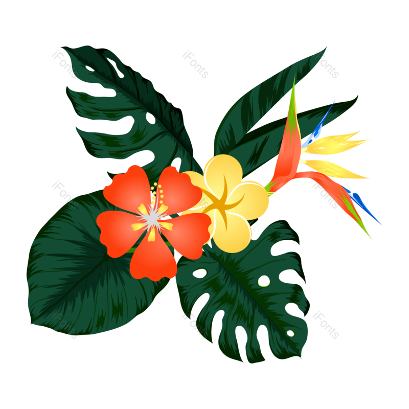 叶子图片,花卉元素,花草PNG,花草装饰免抠素材